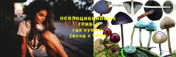 mix Алексин